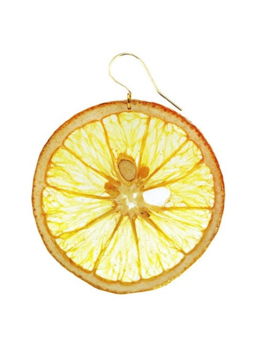 Resin Coated Round Orange Slice on a French Hook Earring