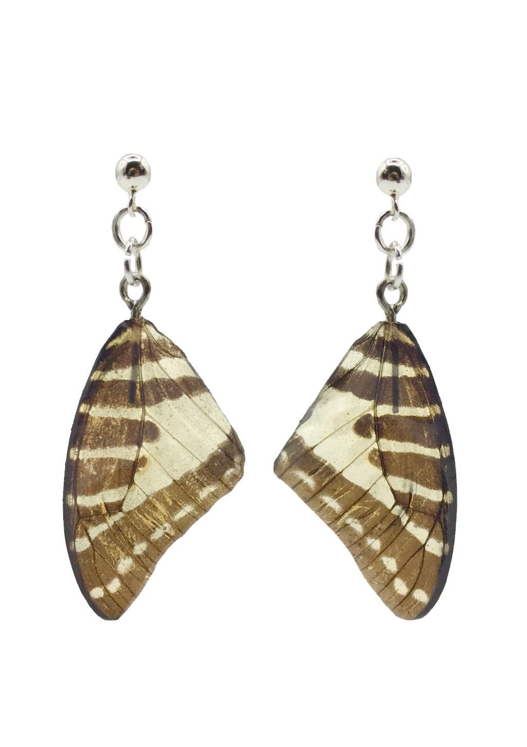 Resin coated grey and white butterfly wing on dangly stud earrings.