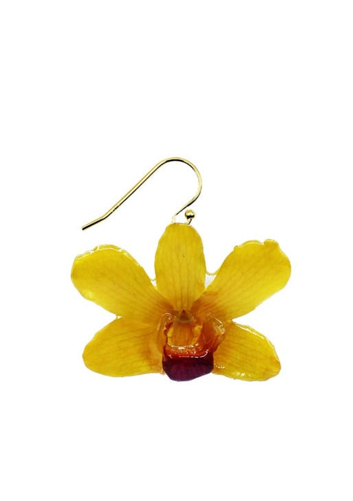 Resin Coated Yellow Sunshine Orchid on a French Hook Earring