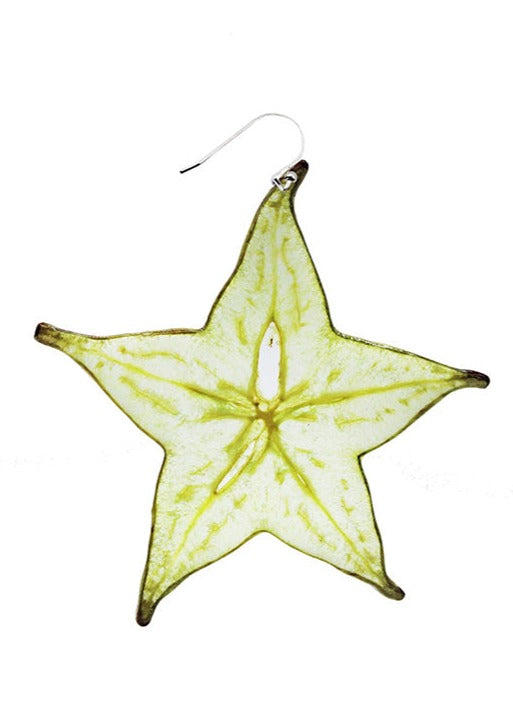 Resin Coated Slice of Star Fruit on a French Hook Earring