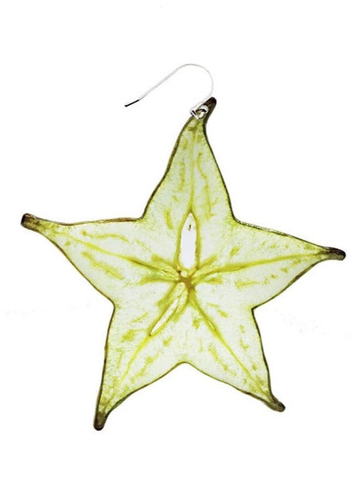 Resin Coated Slice of Star Fruit on a French Hook Earring