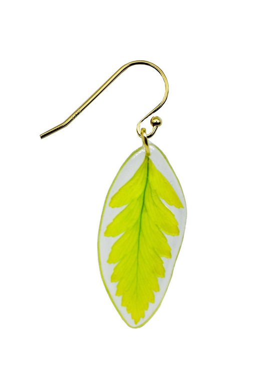 Resin Coated Miniature Green Fern Leaf on a French Hook Earring