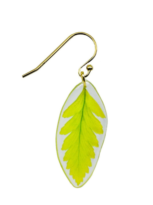 Resin Coated Miniature Green Fern Leaf on a French Hook Earring