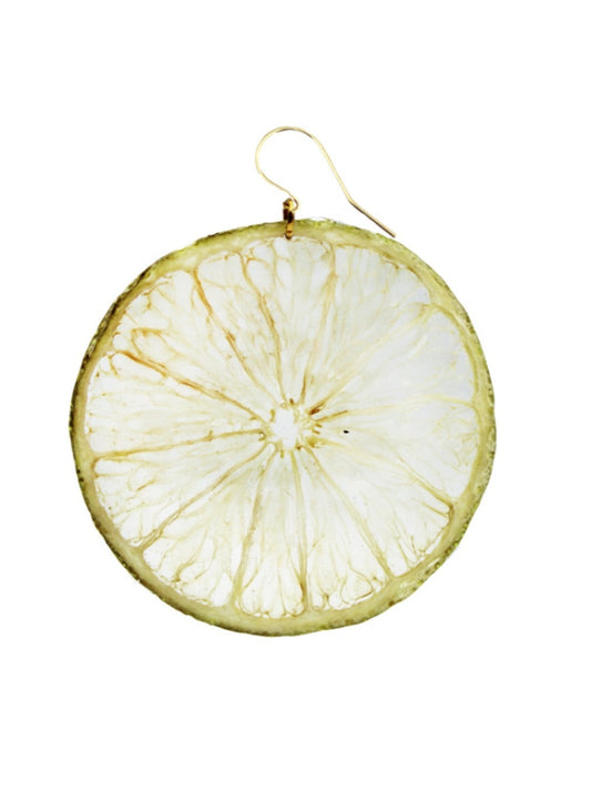 Resin Coated Slice of Lime on a French Hook Earring