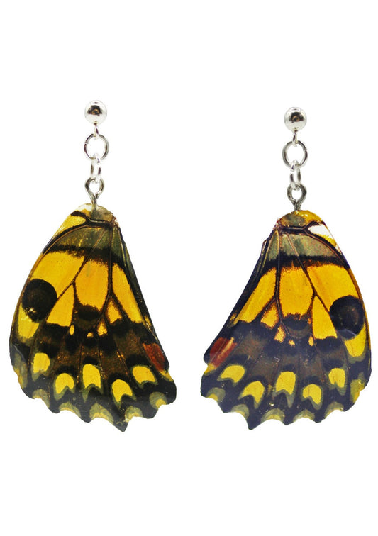 Resin coated black and yellow pointy butterfly wing on dangly stud earrings.