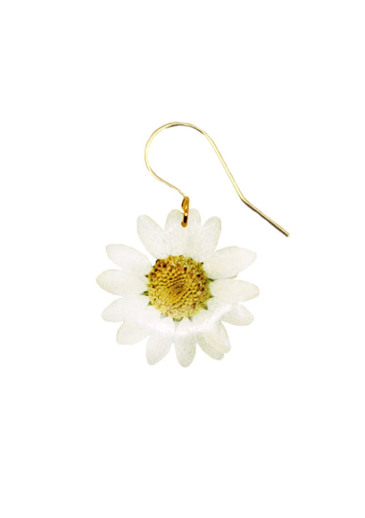 Resin coated miniature white Daisy with yellow center on French Hook Earring