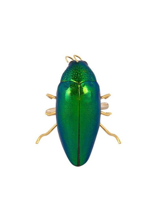 Green beetle preserved in resin on gold ring band.