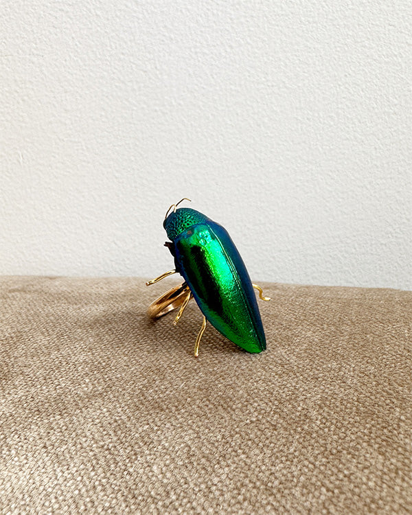 Green beetle preserved in resin on gold ring band.