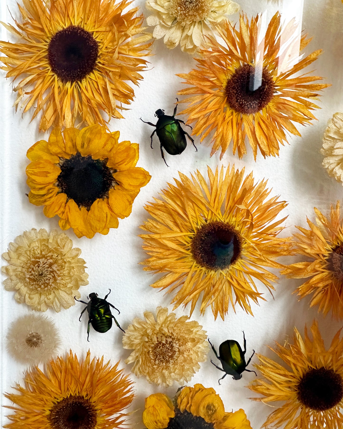 Sunflowers & Beetles Tray- OOAK