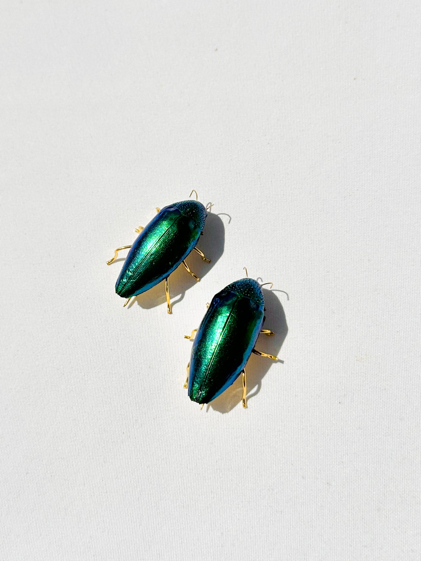 Happy Beetle Pin