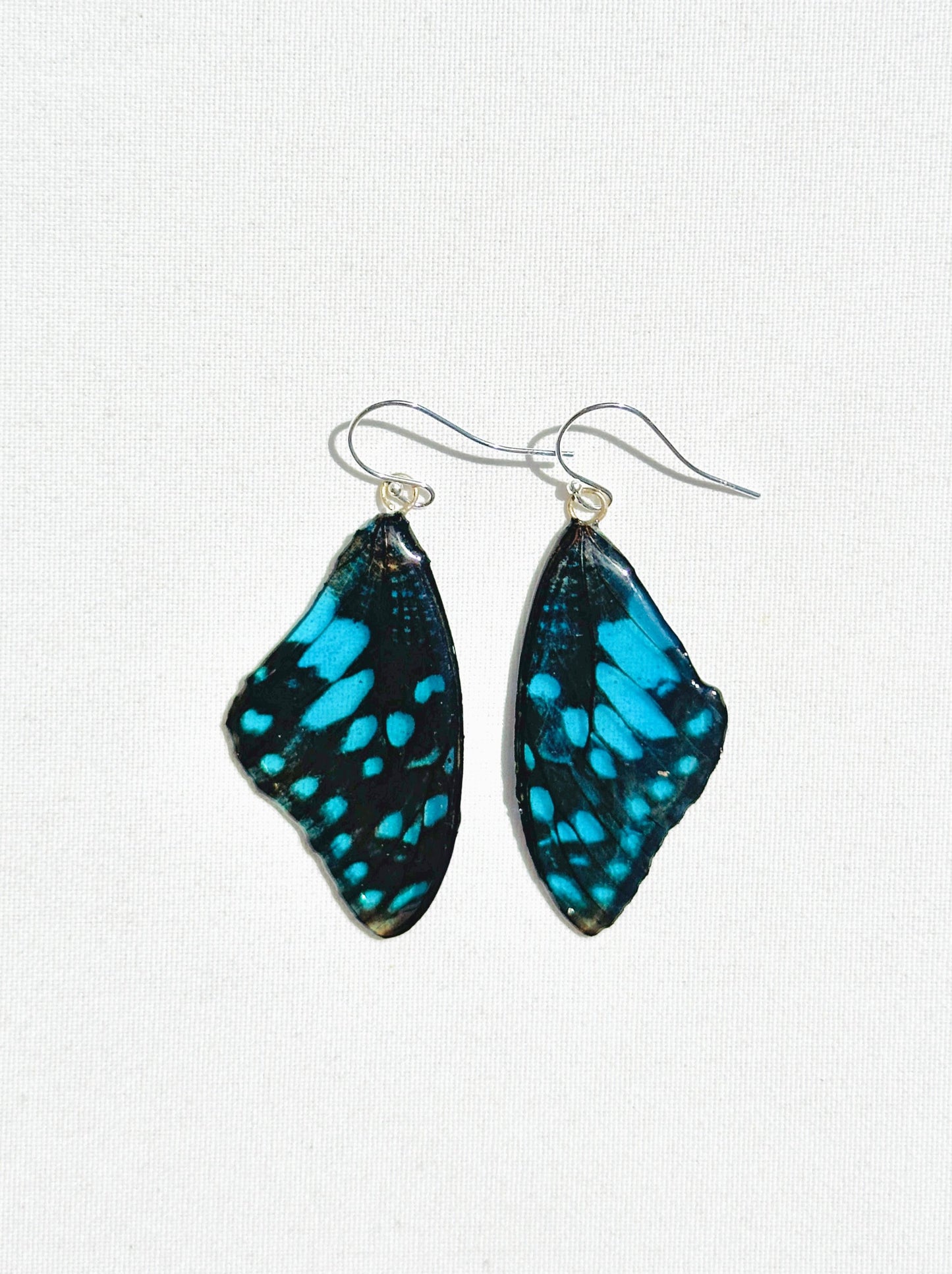 Sky Mariposa (Pair)