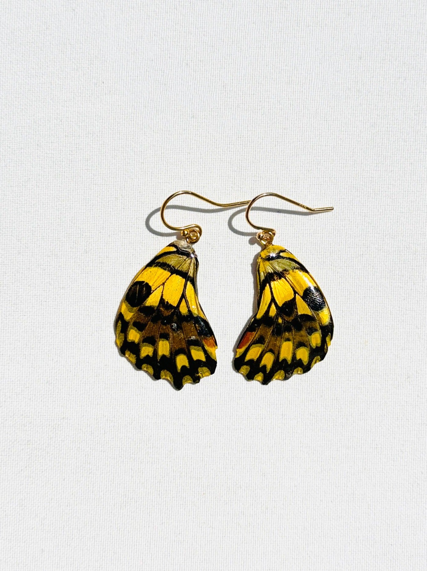 Sun Mariposa (Pair)