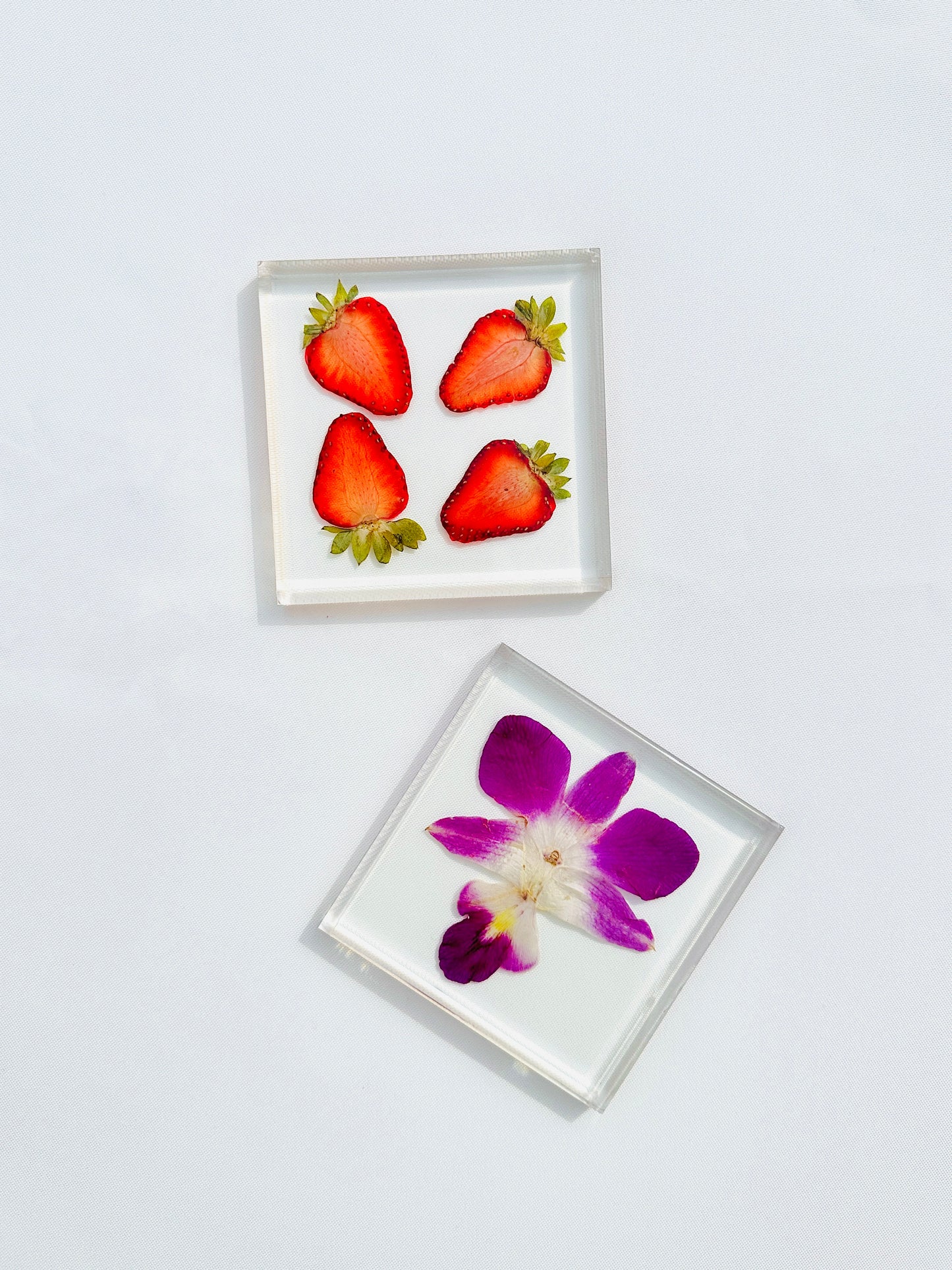 Orchid Coaster