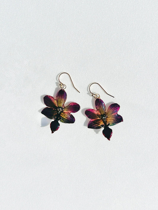 Mini Lunar Orchid (Single)