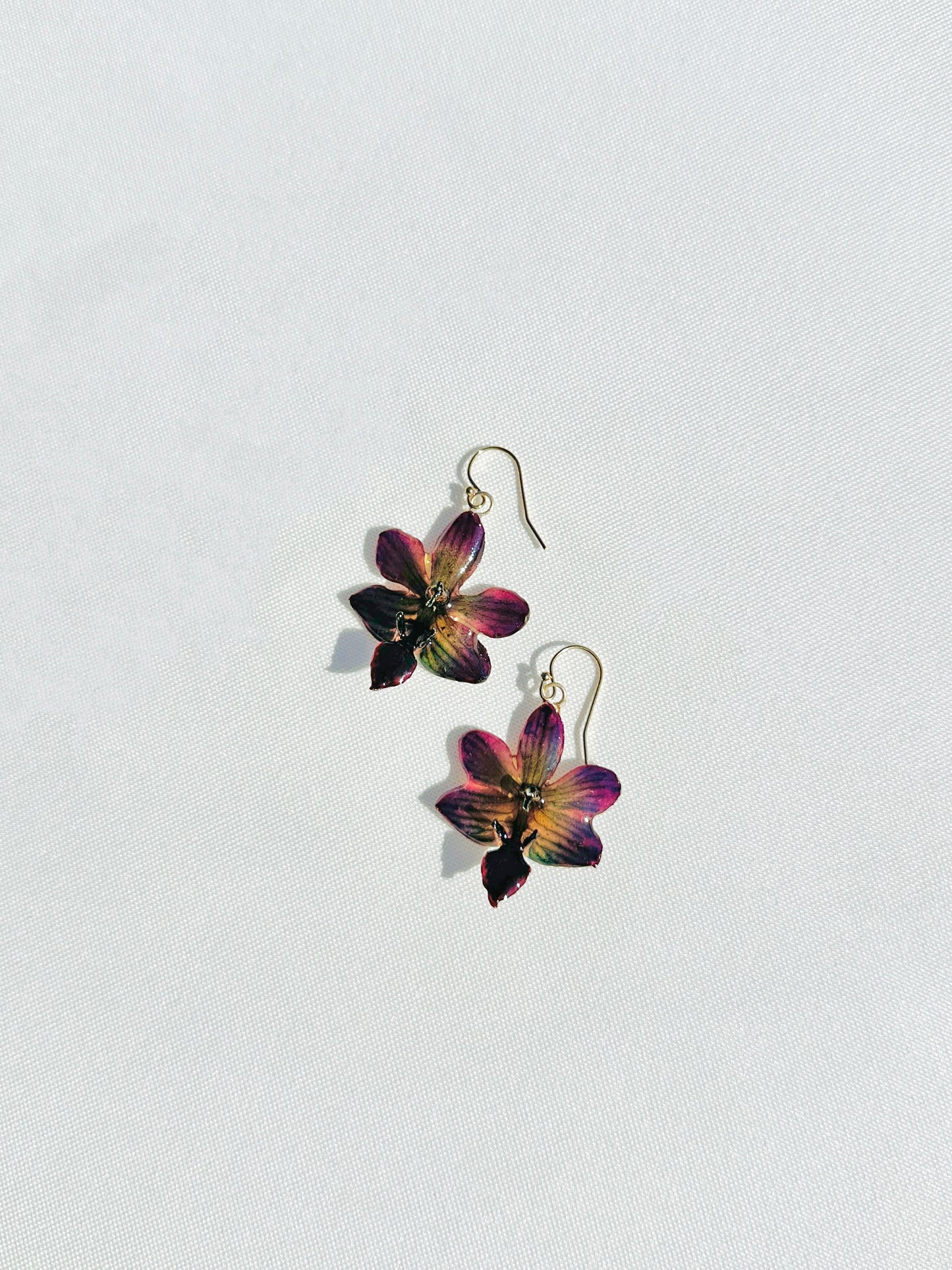 Mini Lunar Orchid (Single)