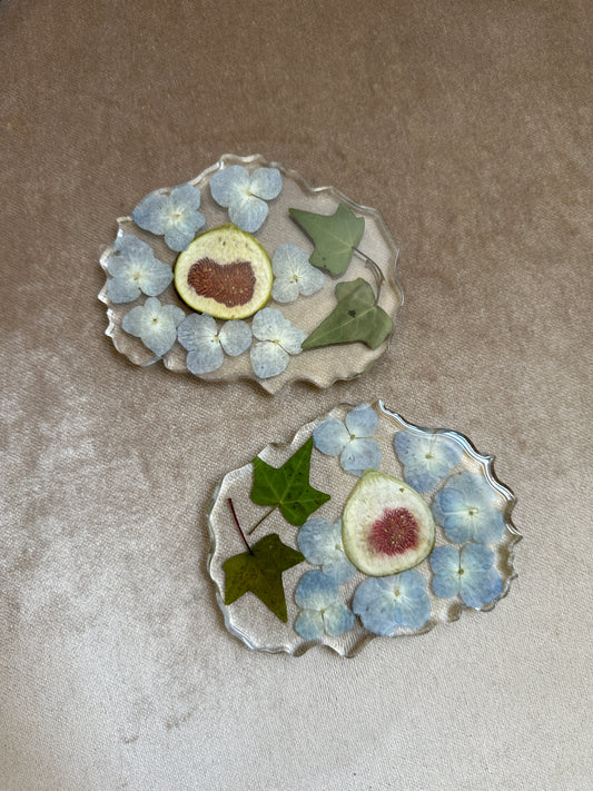 Fig Garden Coaster