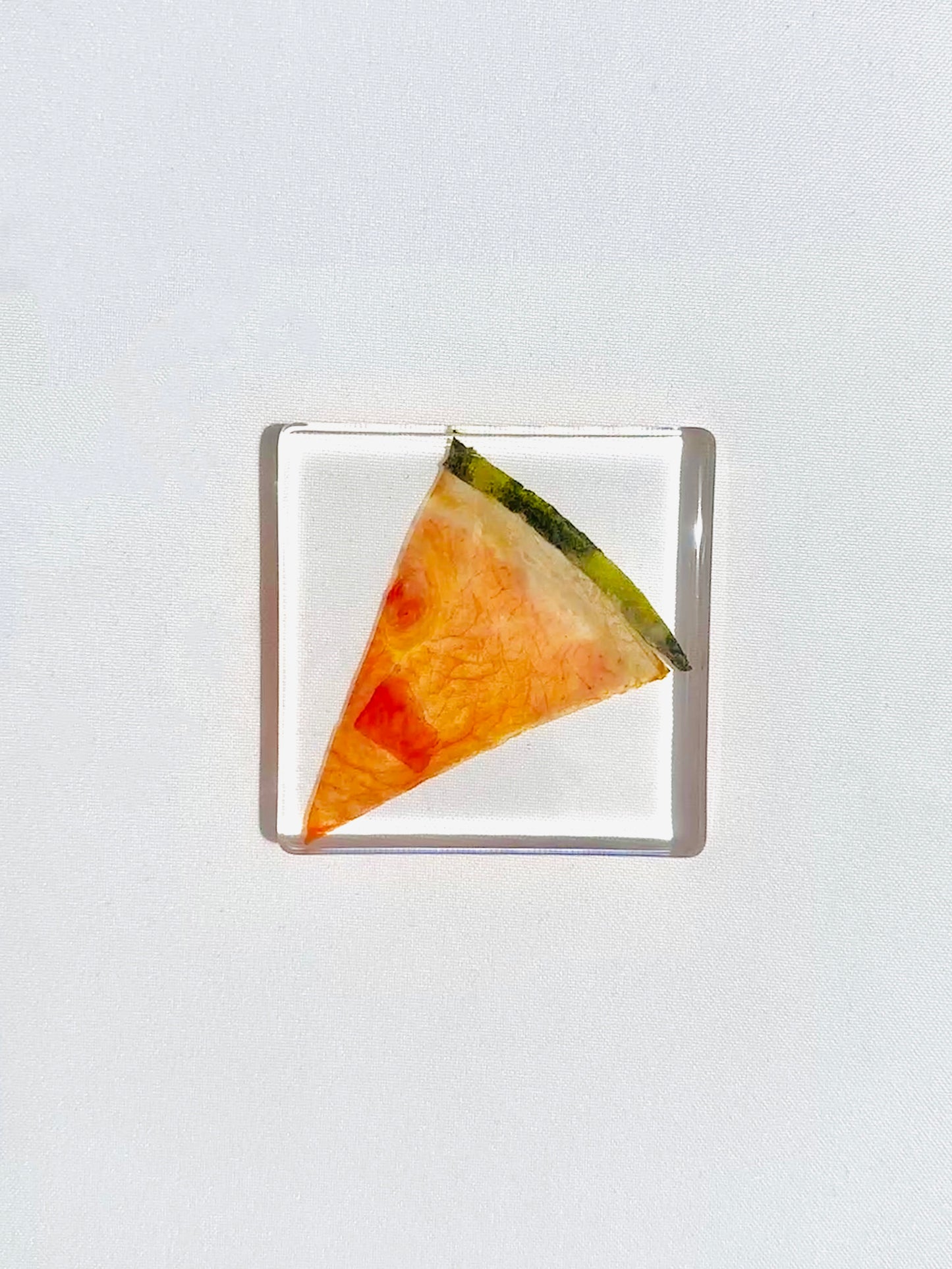 Fruit Salad Square Coasters