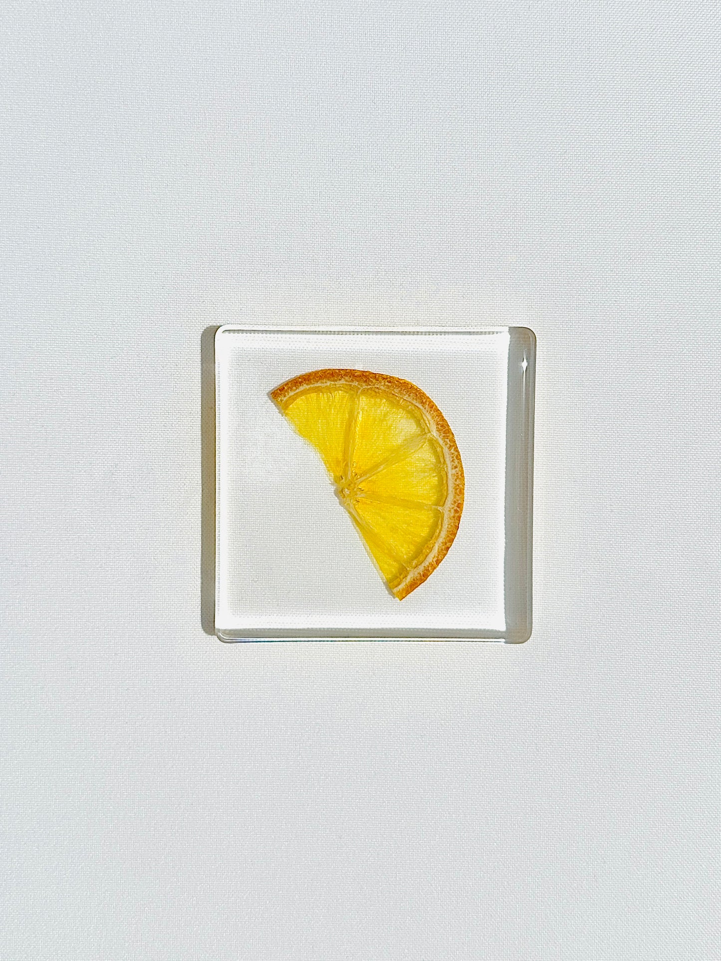 Fruit Salad Square Coasters