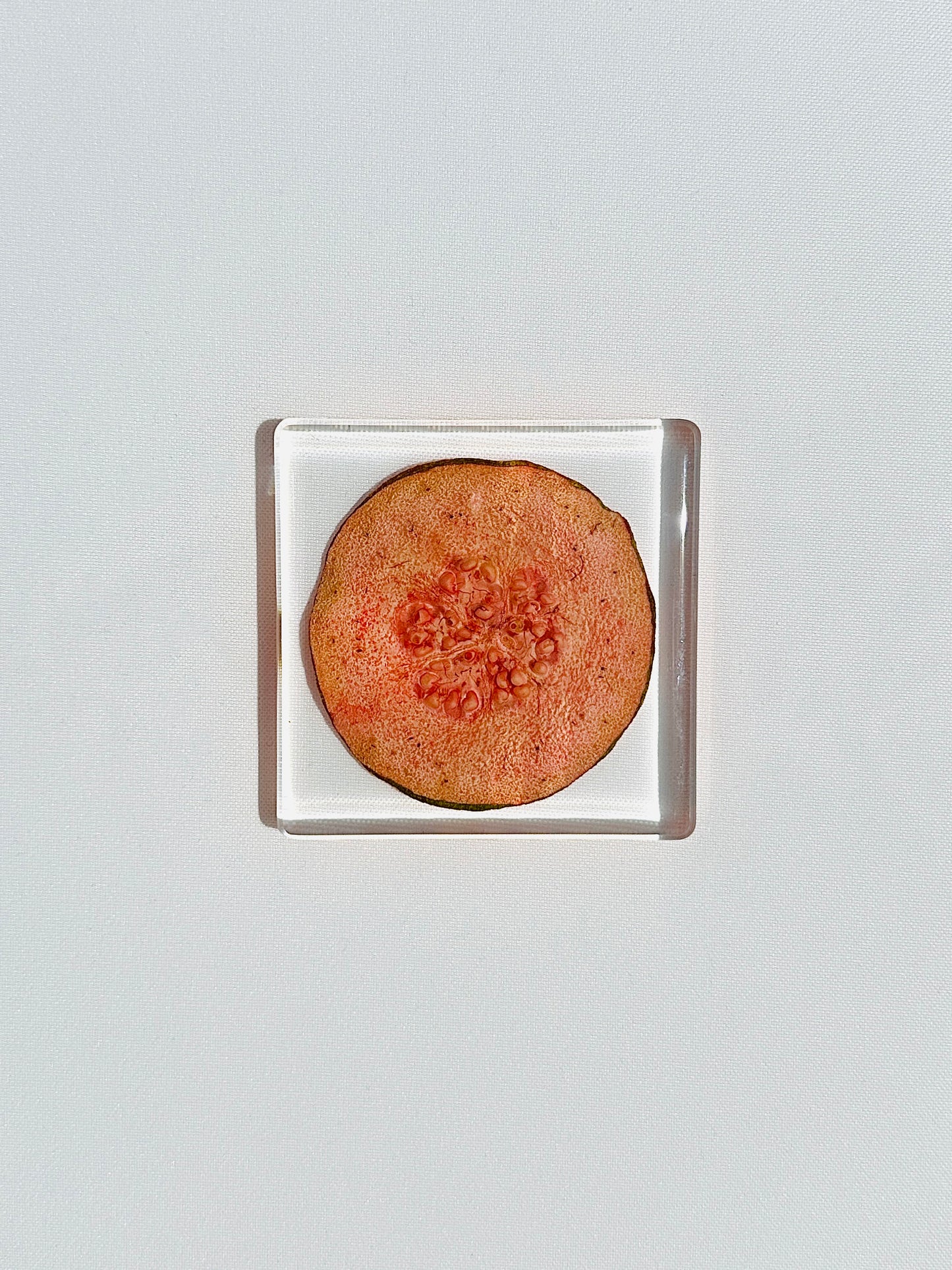 Fruit Salad Square Coasters