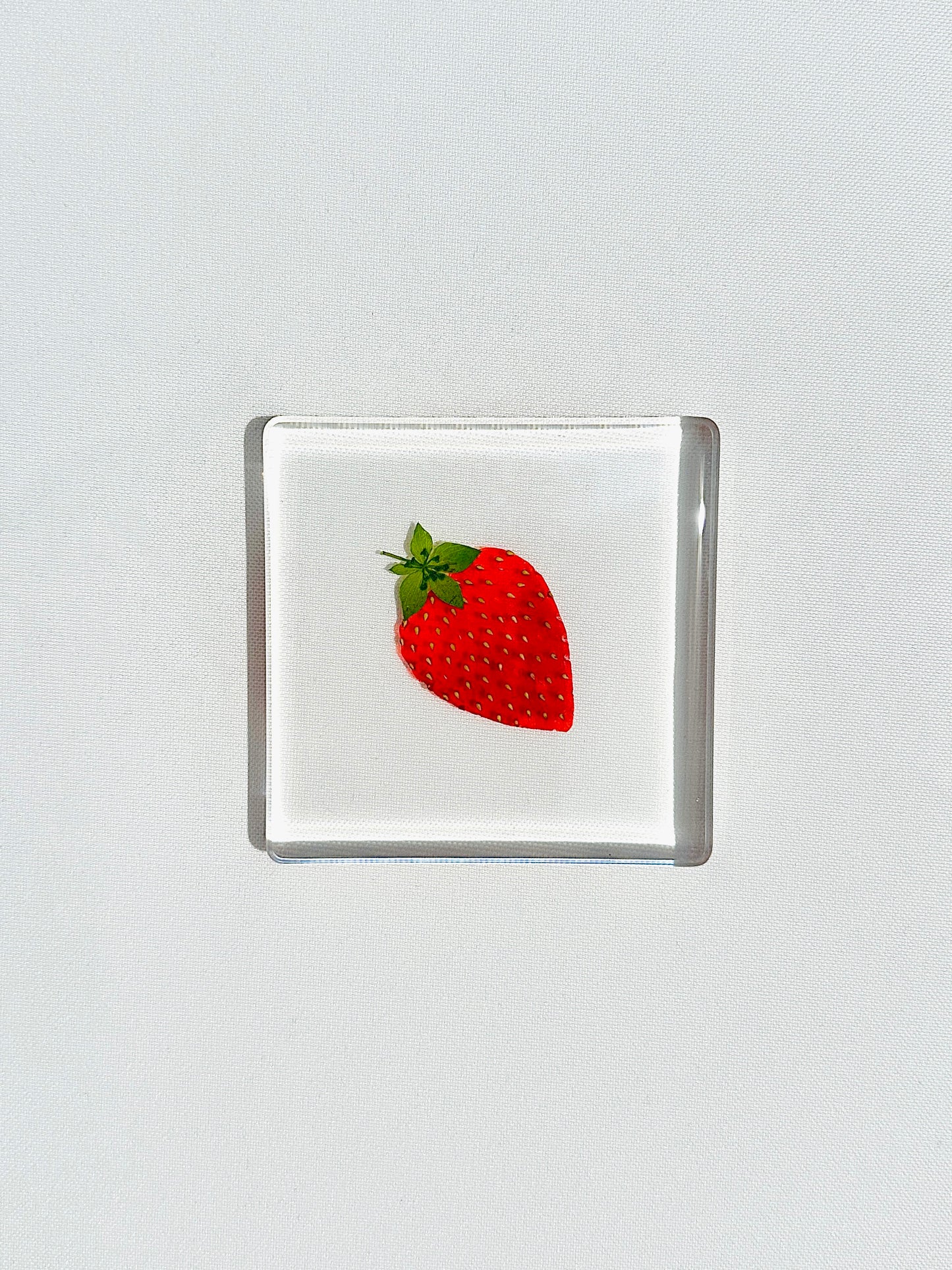 Fruit Salad Square Coasters