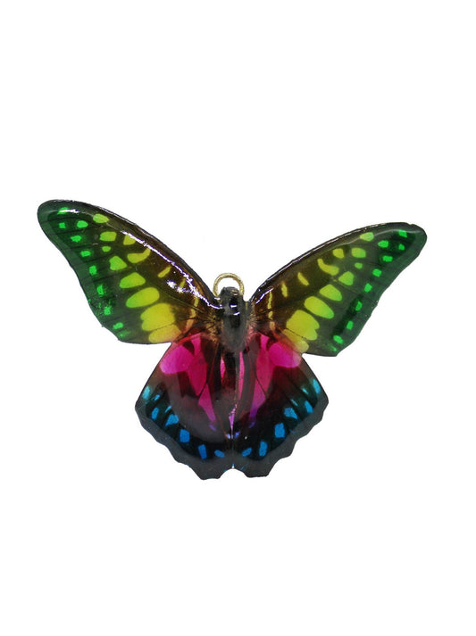 Chroma Mariposa