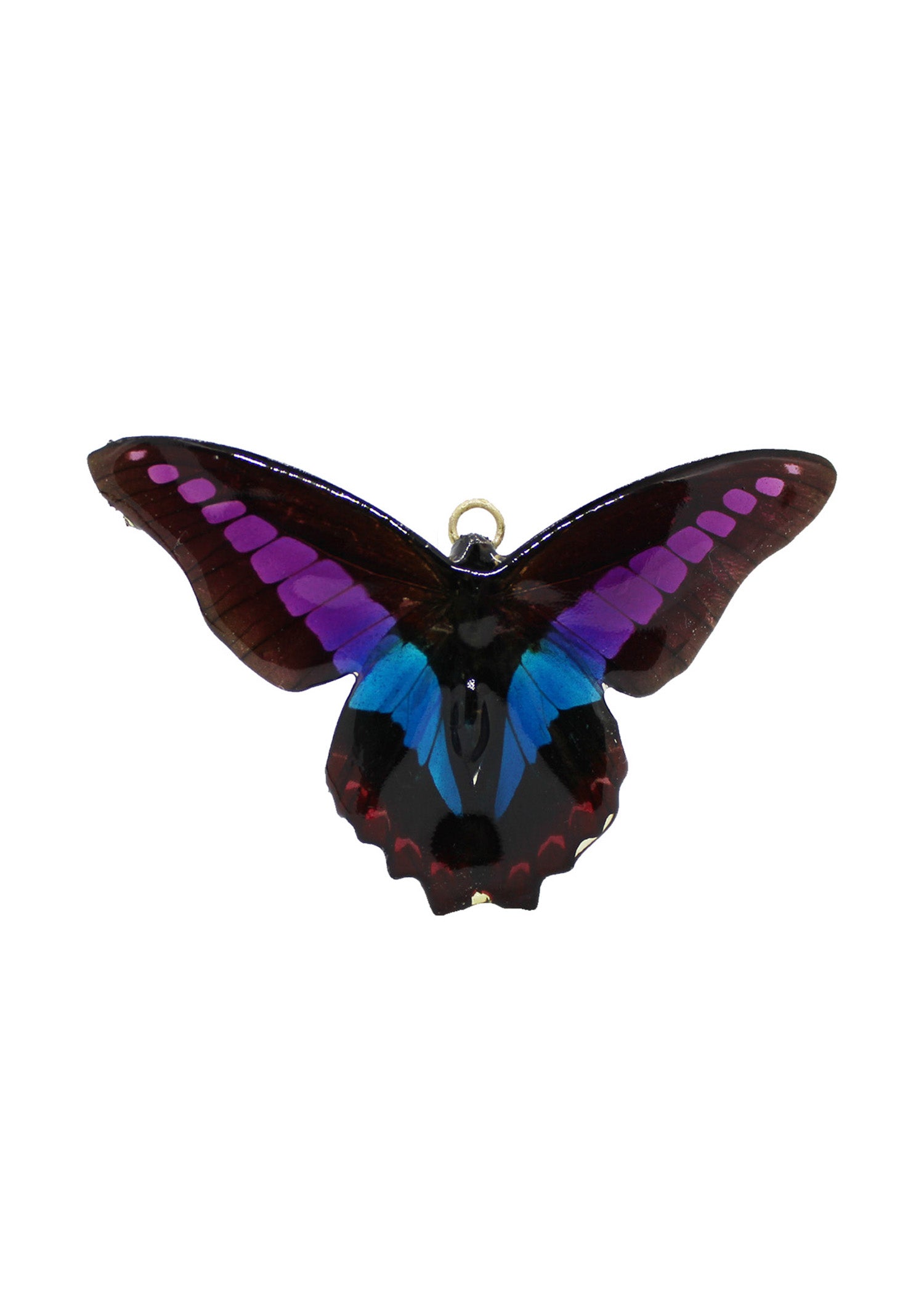 Purple, Blue, and Black butterfly preserved in resin.