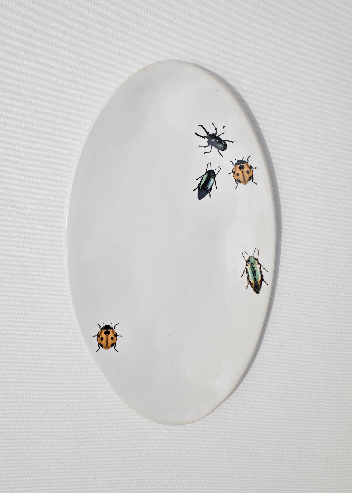 Crawling Insects Oval Dish