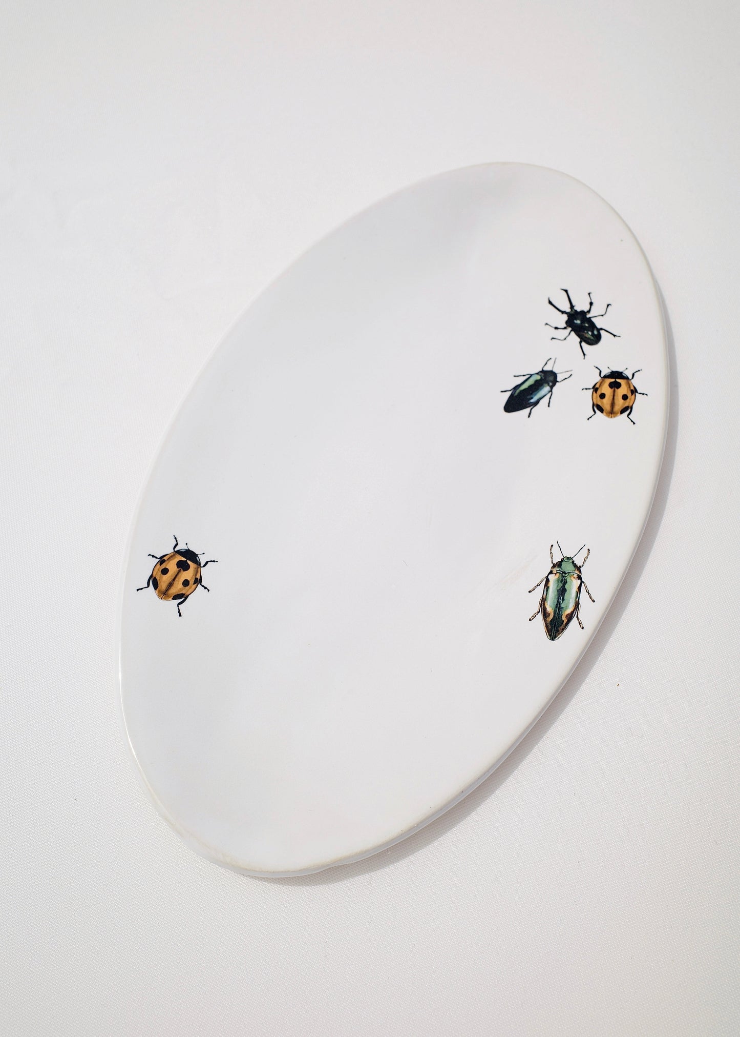 Crawling Insects Oval Dish