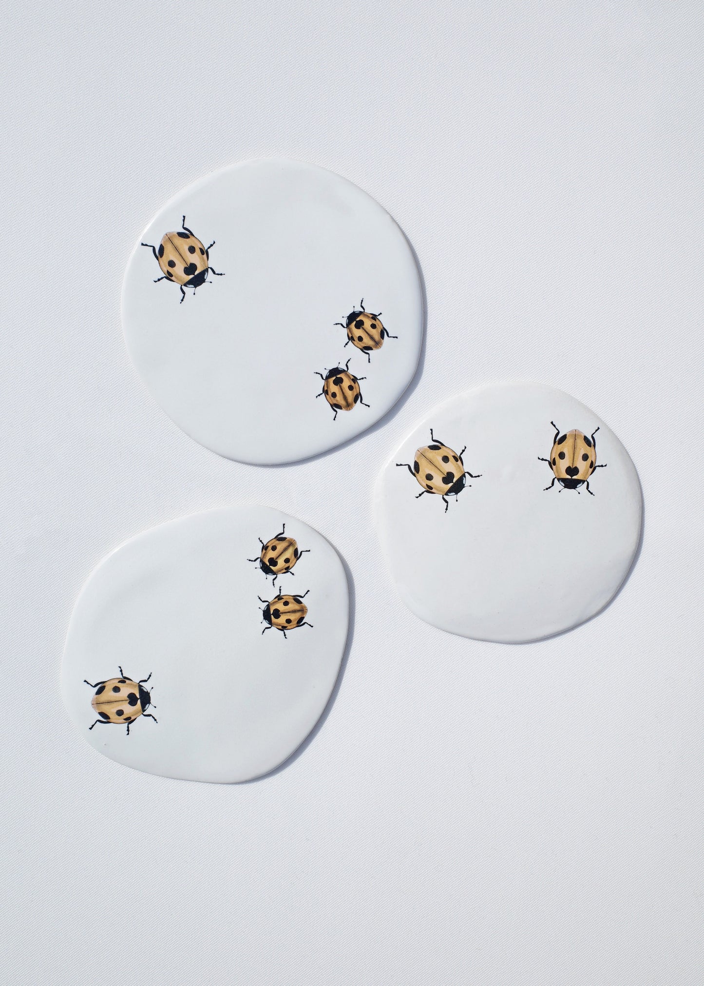 Crawling Ladybugs Coaster