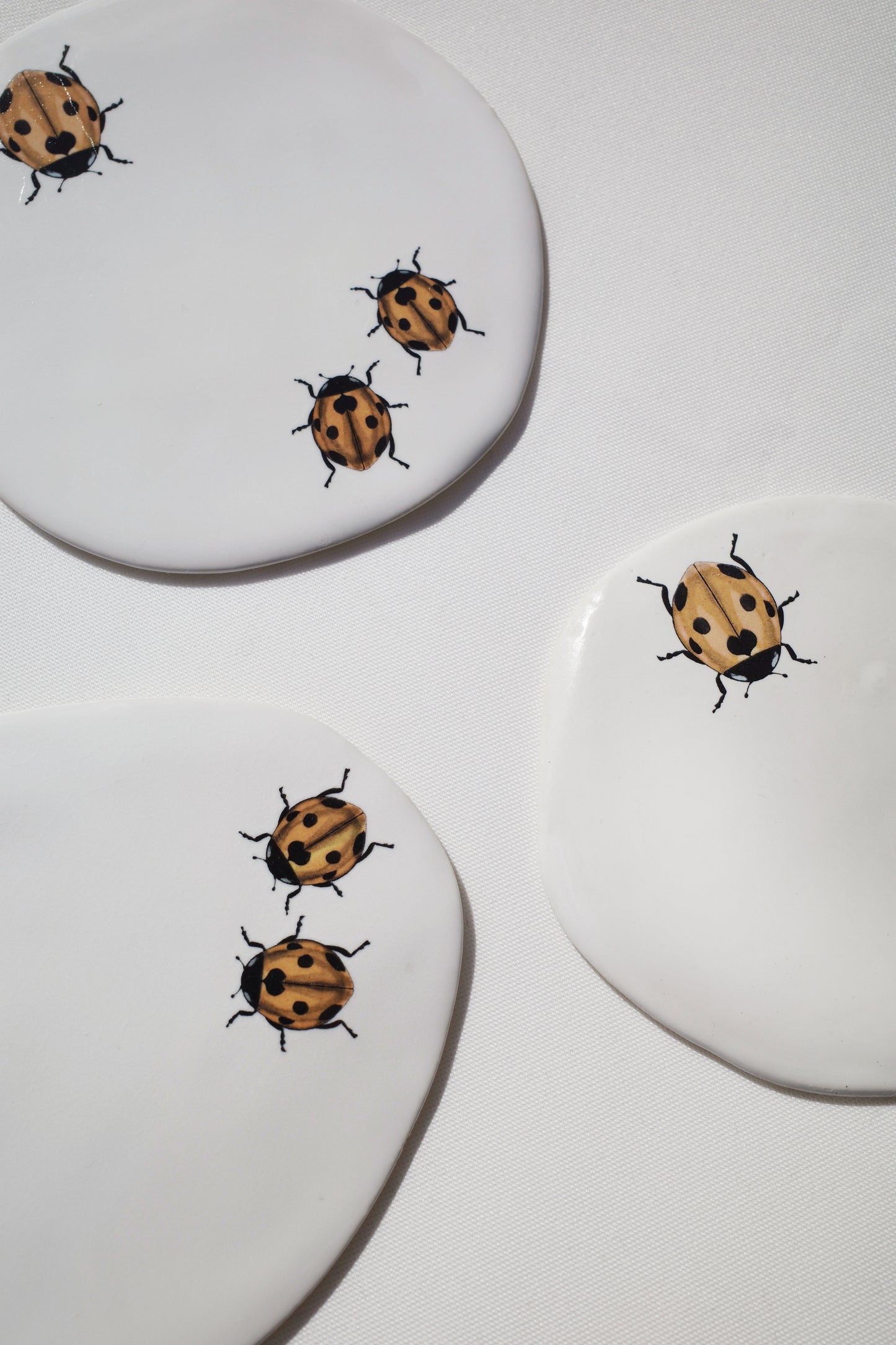 Crawling Ladybugs Coaster