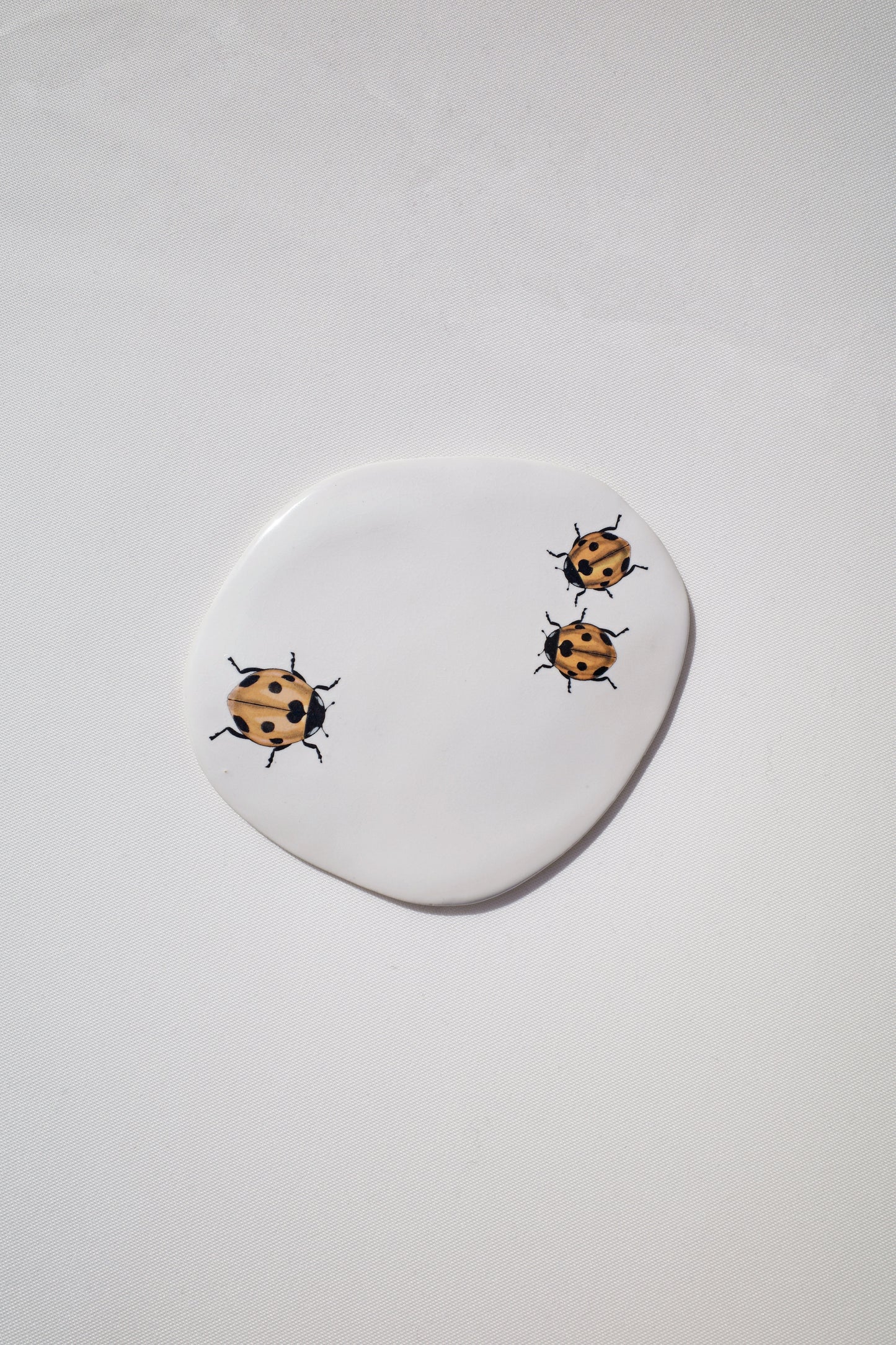 Crawling Ladybugs Coaster