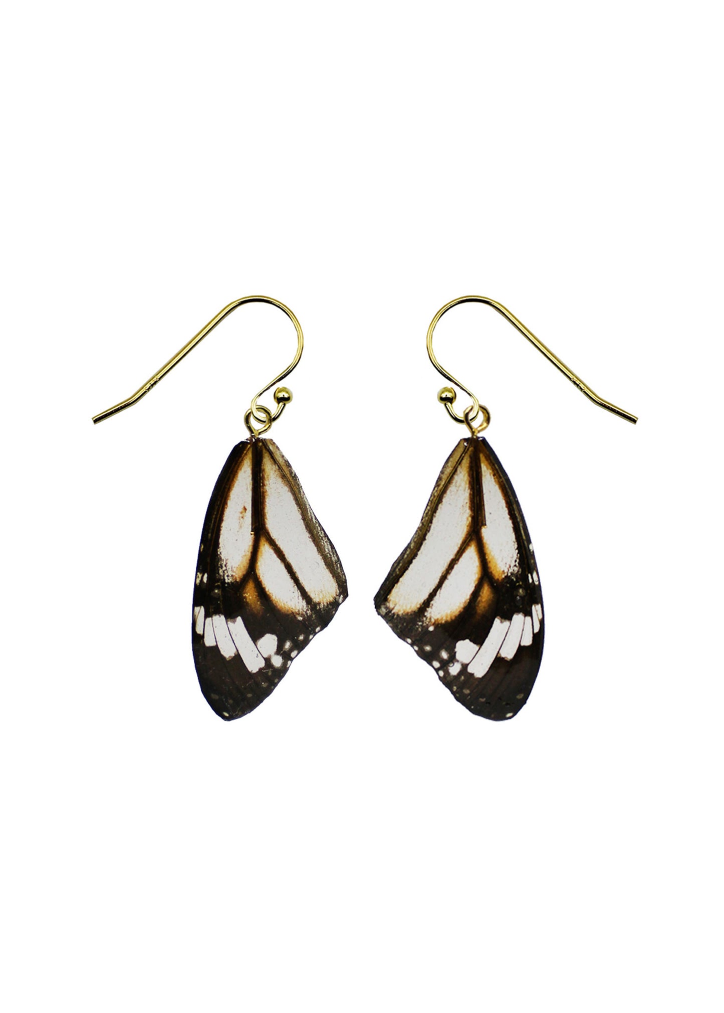 Resin coated black white and brown butterfly wing on french hook earrings.