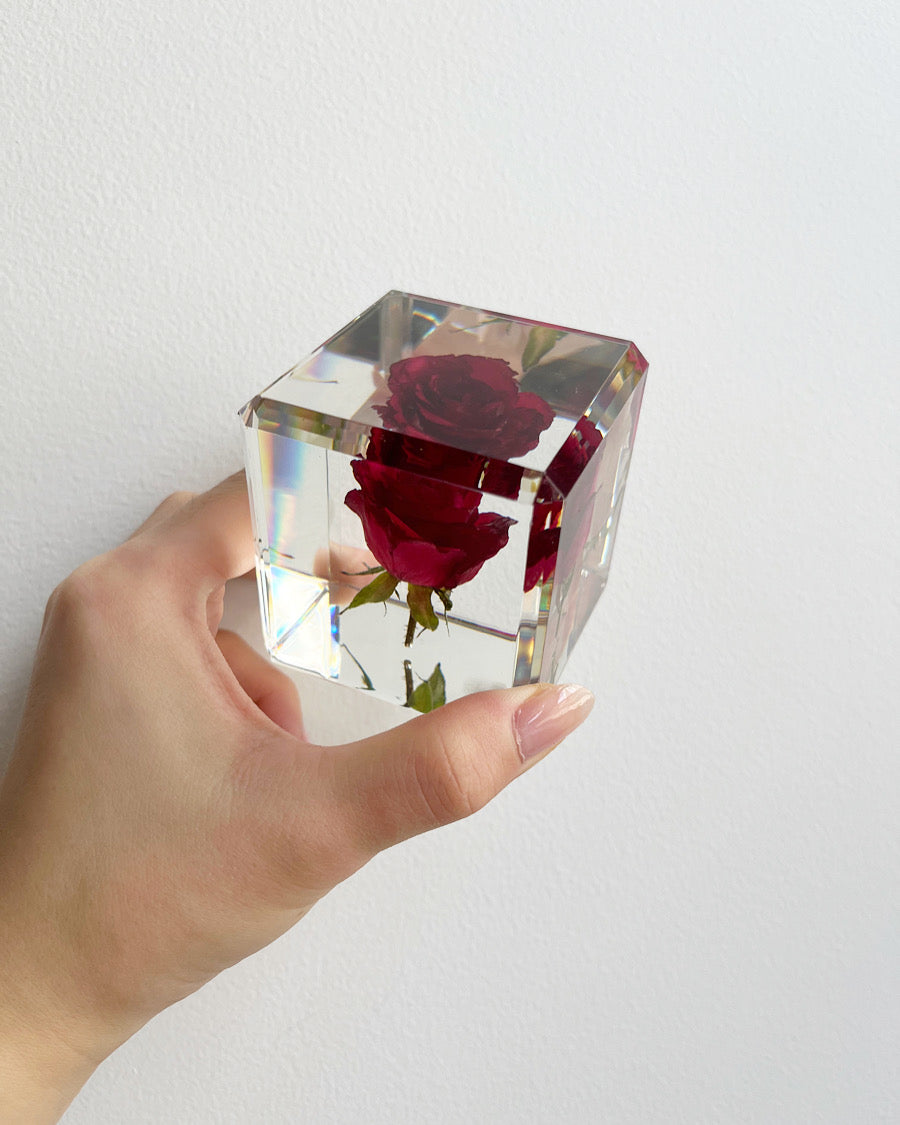A real red rose flower suspended in a resin "ice cube." with green stem and thorns