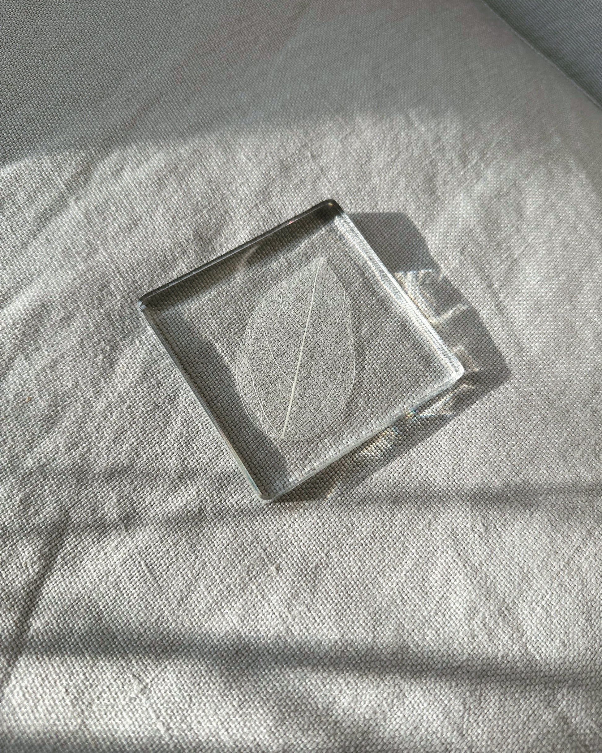 Magnolia leaves suspended in a resin square coaster