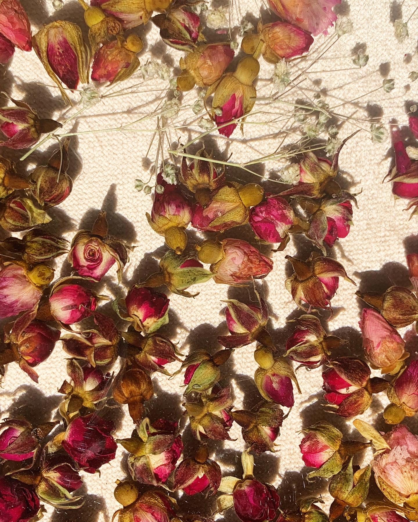 Rosebud Round Tray