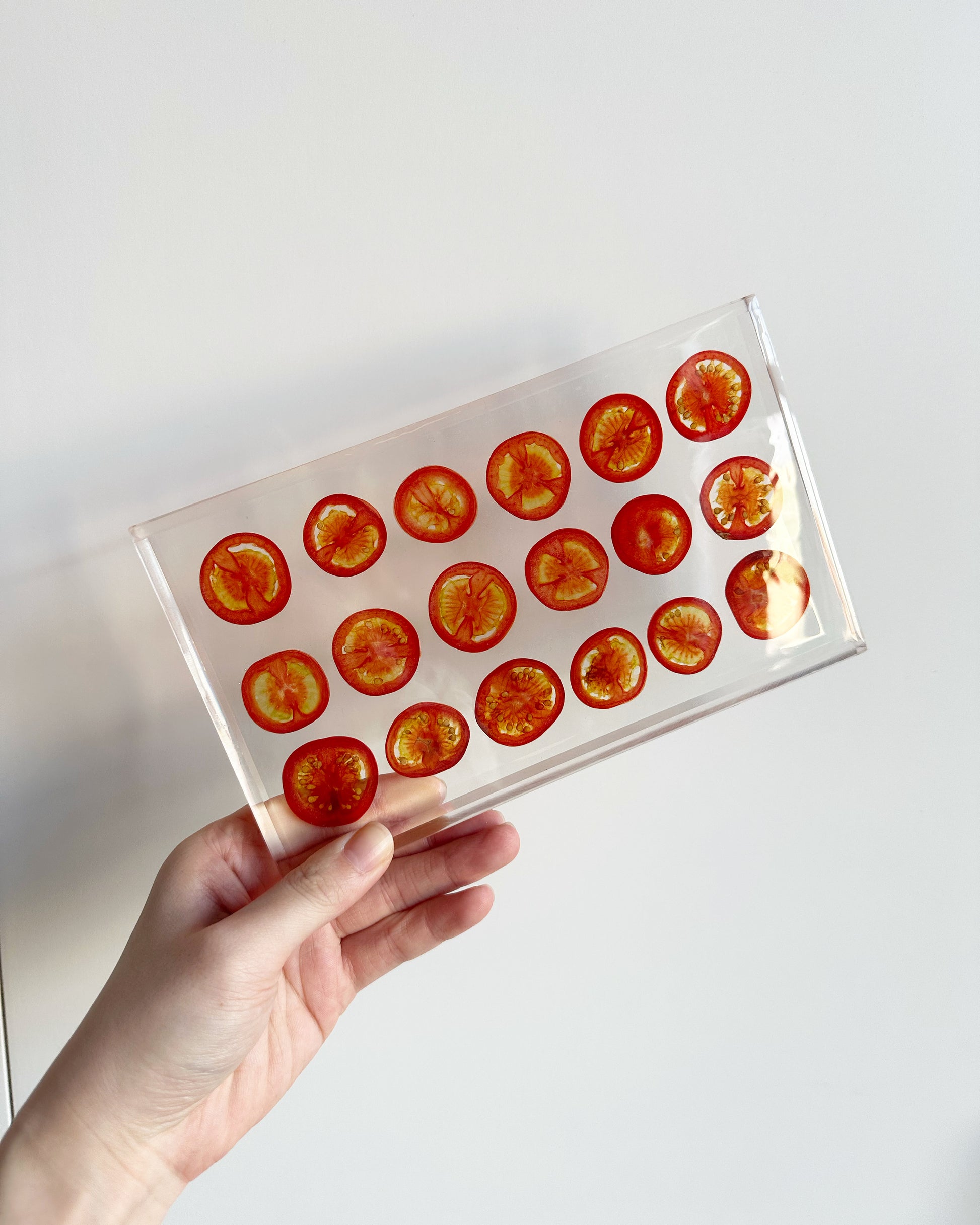 Tomatoes sit suspended in transparent resin tray