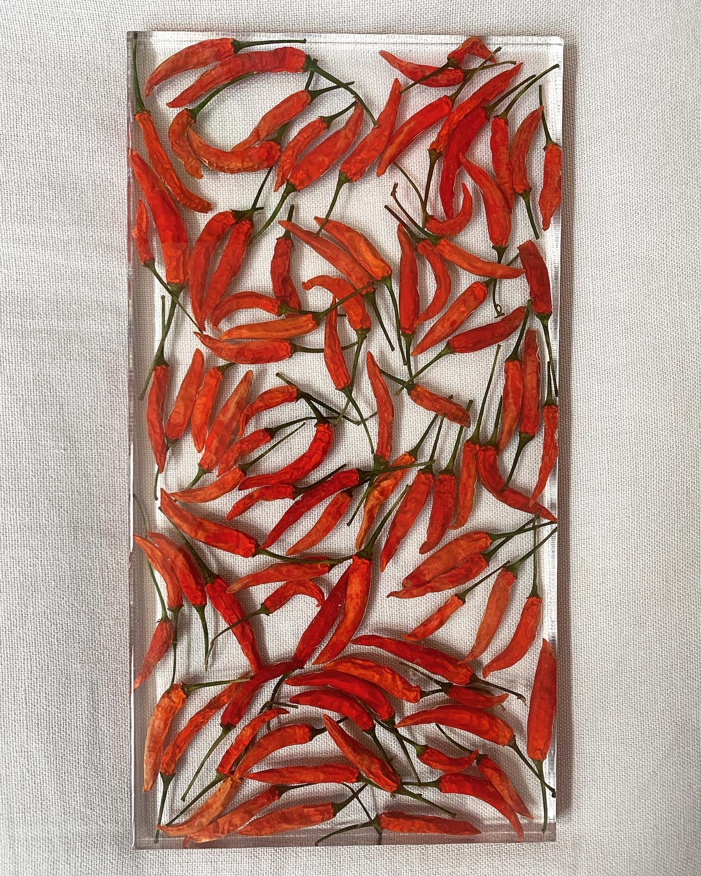 Pepper Tray