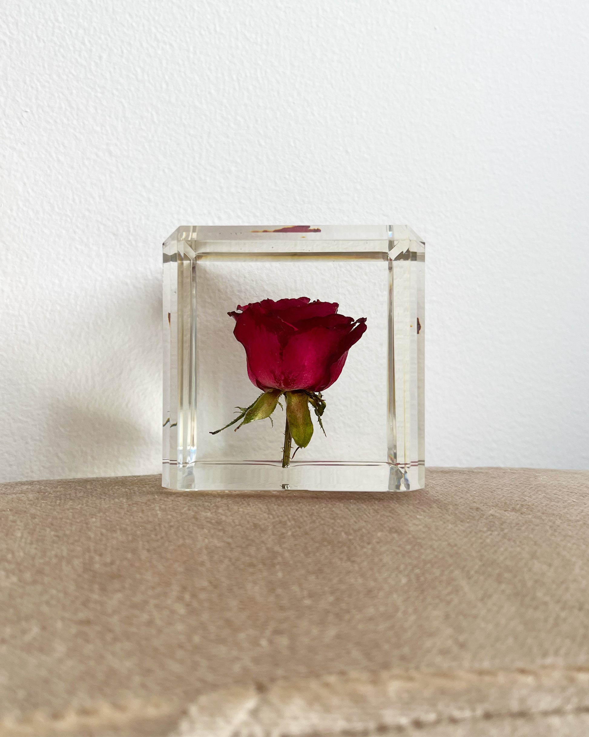 A real red rose flower suspended in a resin "ice cube." with green stem and thorns