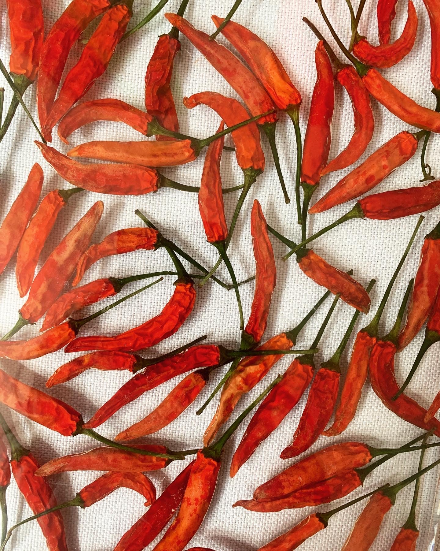 Pepper Tray