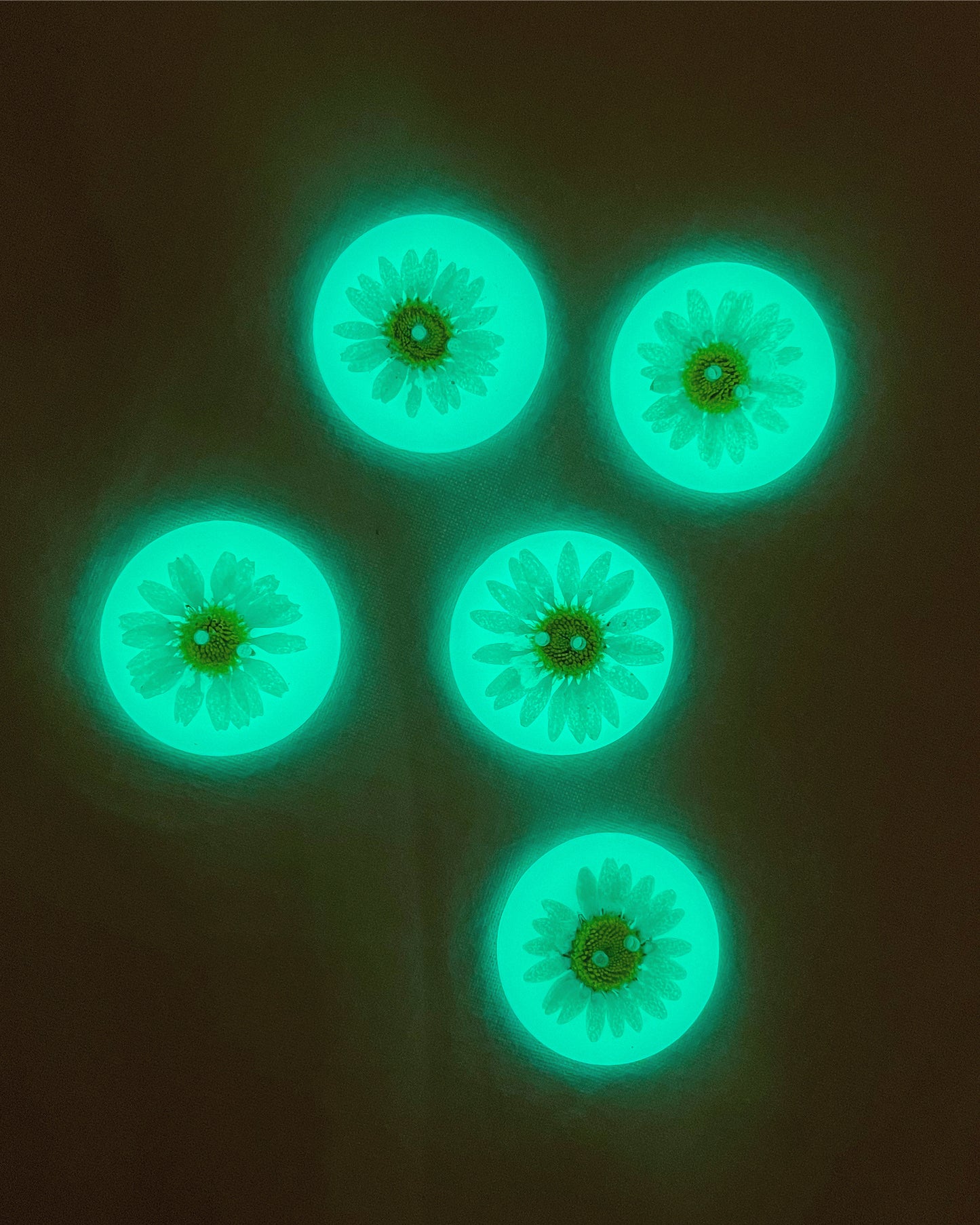 Glow-in-the-Dark Daisy Buttons