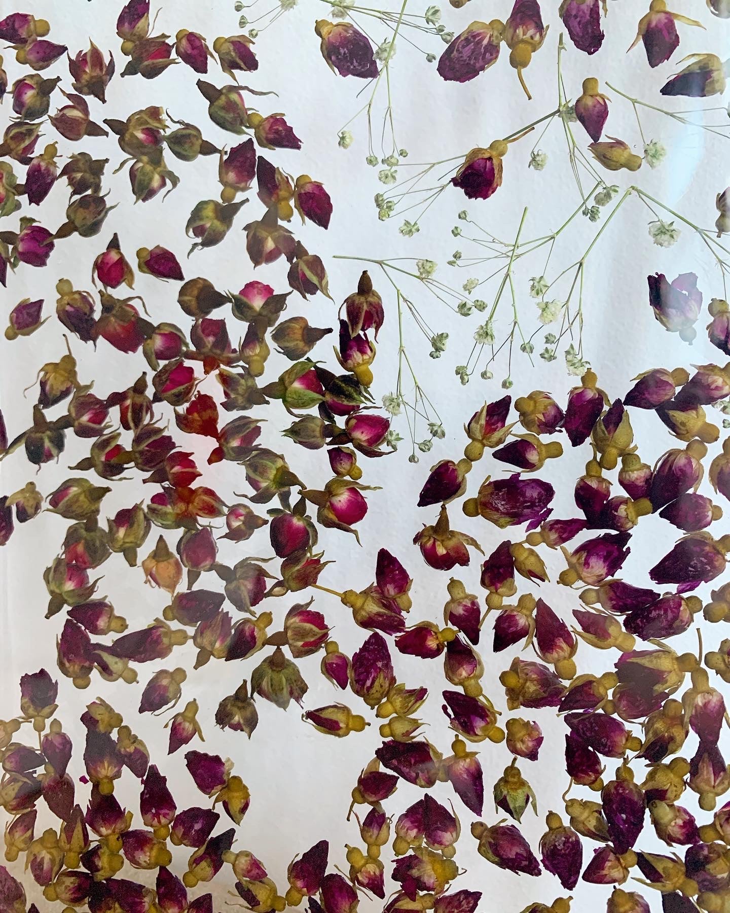  Hundreds of rosebuds sit suspended between sprigs of baby's breath. A durable-yet-whimsical addition to your home decor. Serve cocktails, use as a vanity tray, or simply display as an incredible objet d'art.