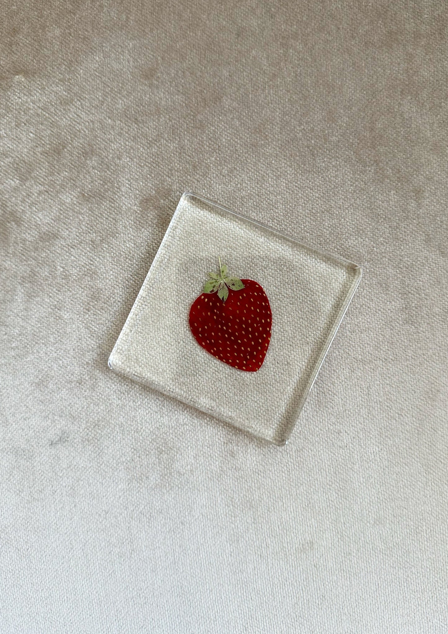 Fruit Salad Square Coasters