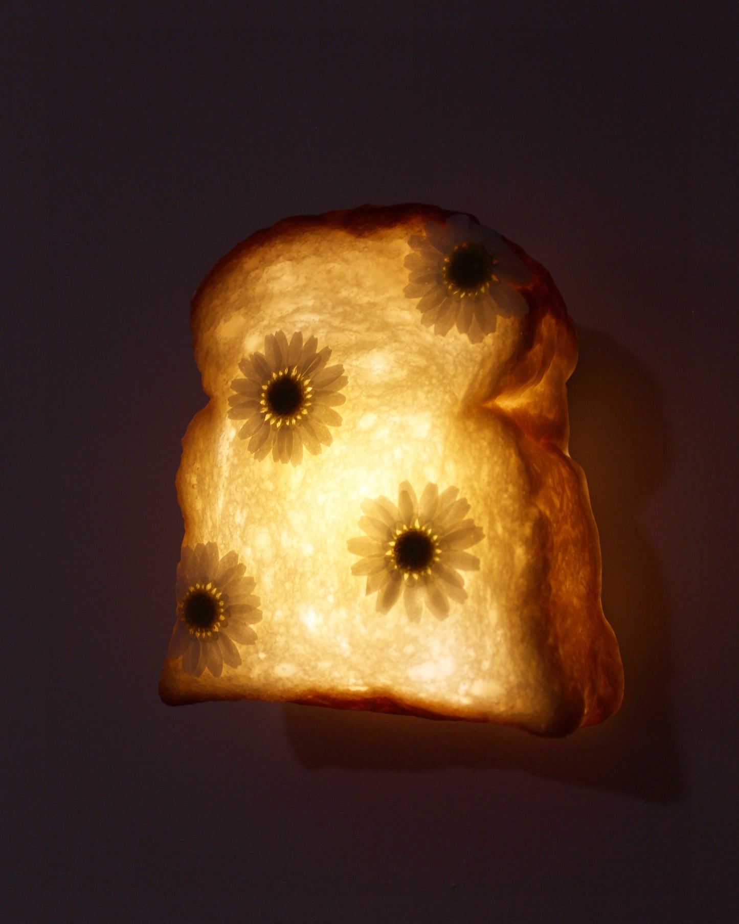 Lit up Eco Resin covered Milk Bread Lamp with Daisy Flowers hanging on wall