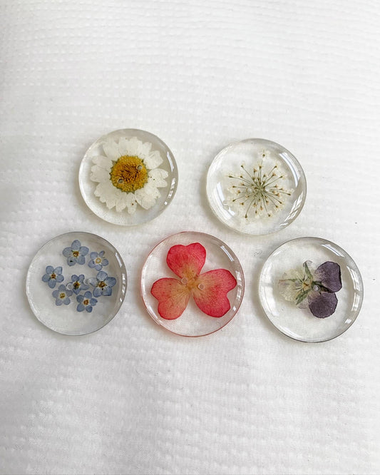 Assorted botanical plants preserved in round buttons (1 daisy, 1 pansy, 1 tea rose petal, 1 Queen Anne's lace, 1 forget-me-not)