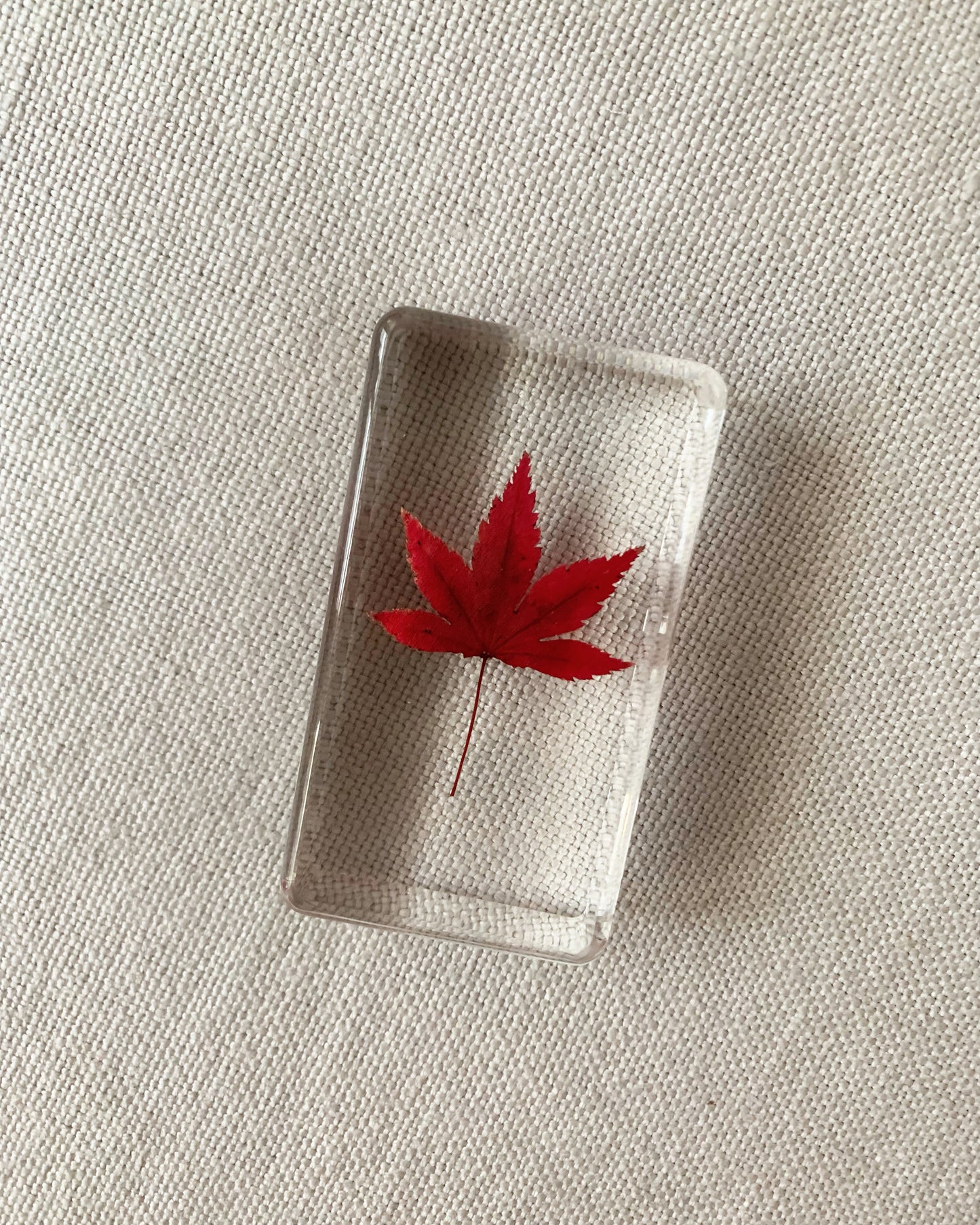 Red Maple leaf preserved and delicately suspended in resin. Approximately 1.5" x 3". 