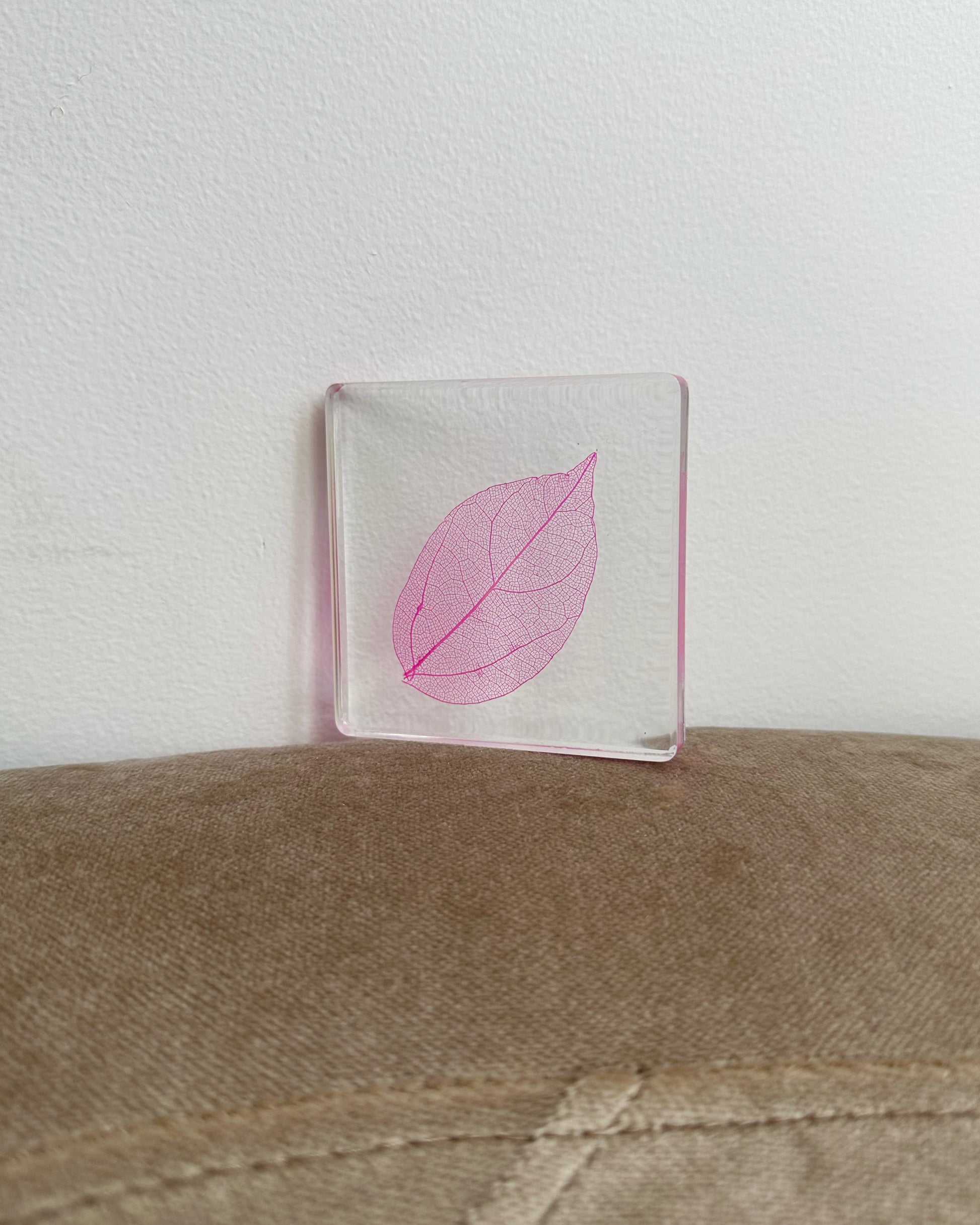 Magnolia leaves suspended in a resin square coaster