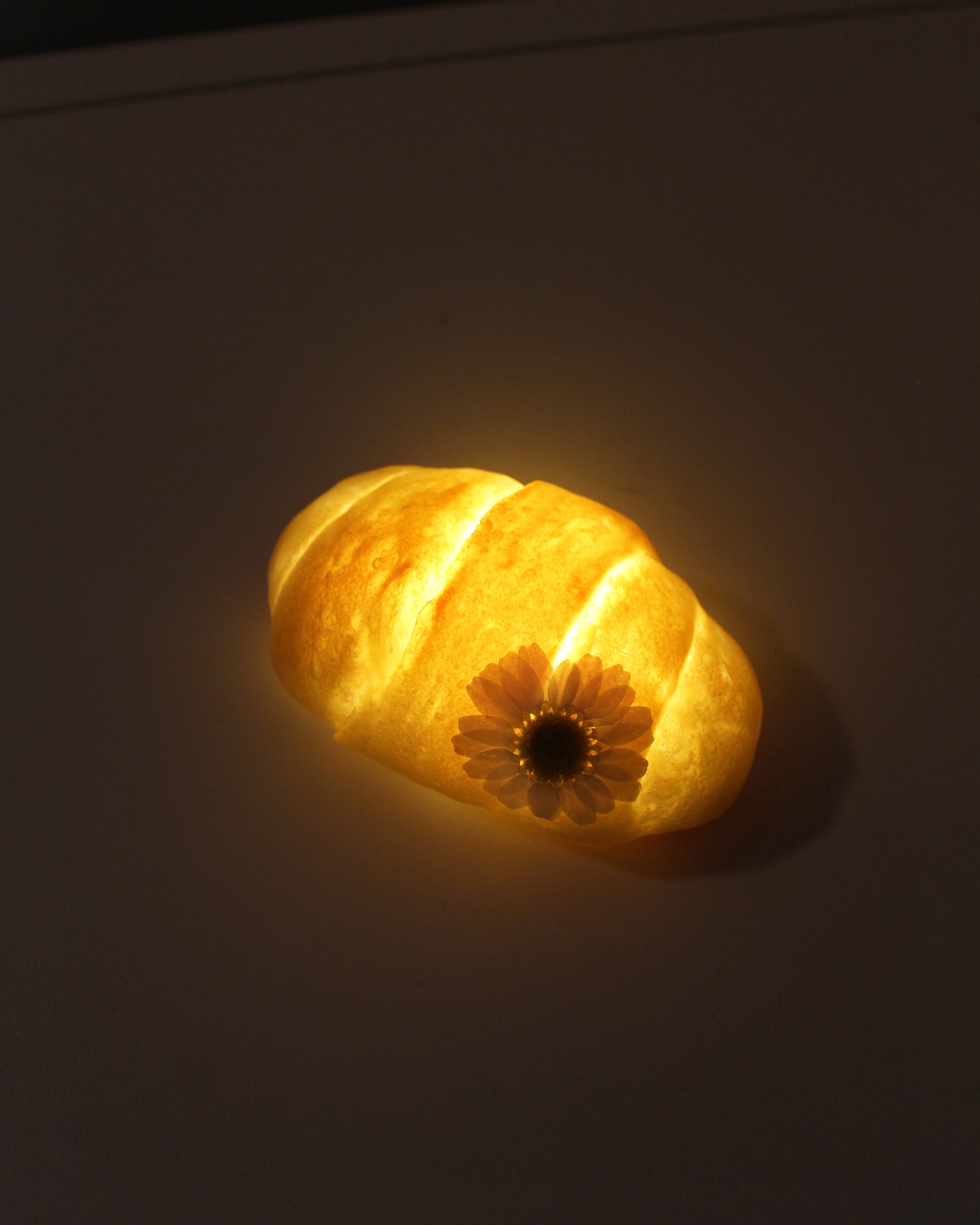 Lit up Eco Resin covered roll lamp with a single white daisy