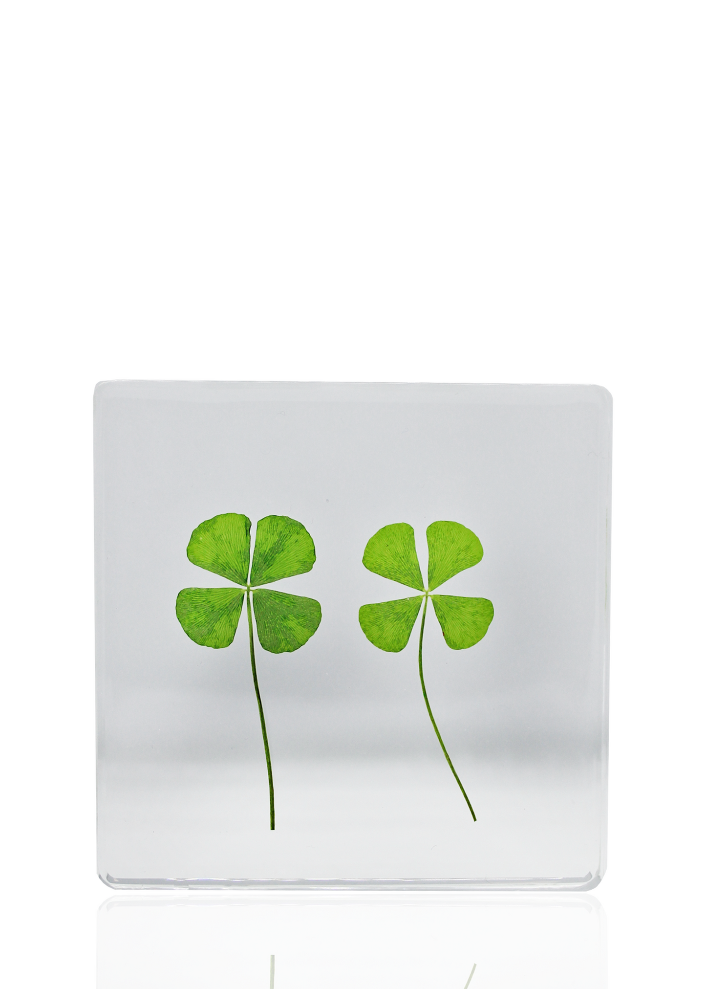 Two suspended four-leaf clovers. Stand it up for display purposes or use as a coaster. Approximately 3" x 3". 