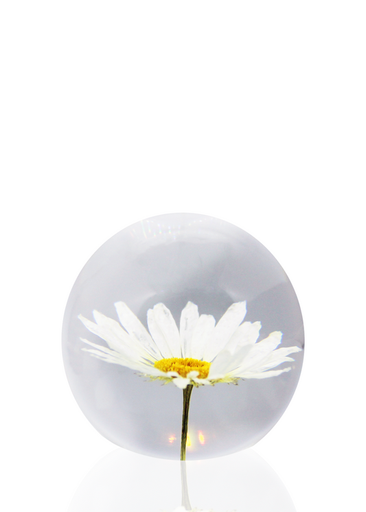 Daisy Crystal