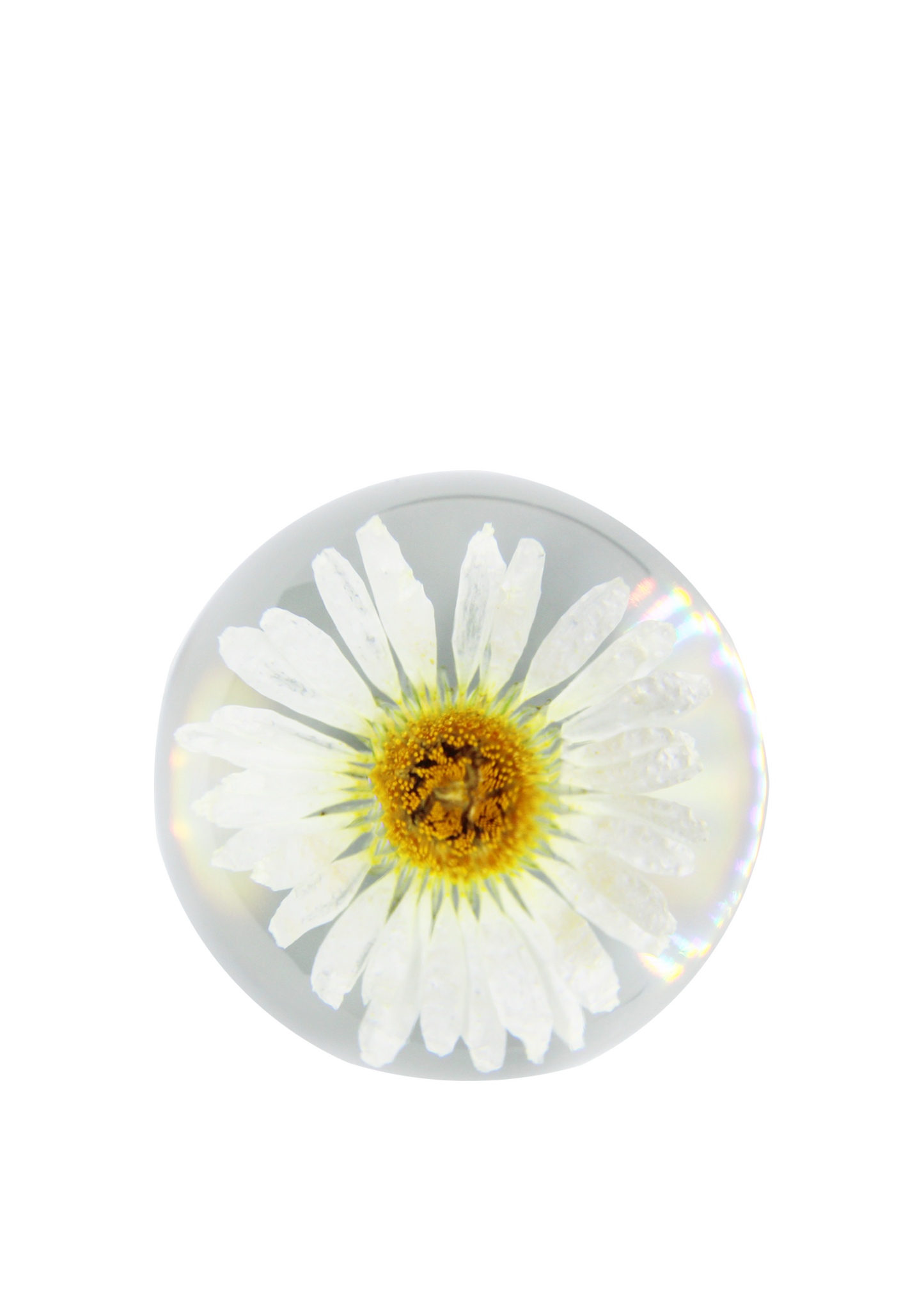 Resin Daisy Planner Charm, White Flower Paper Clip